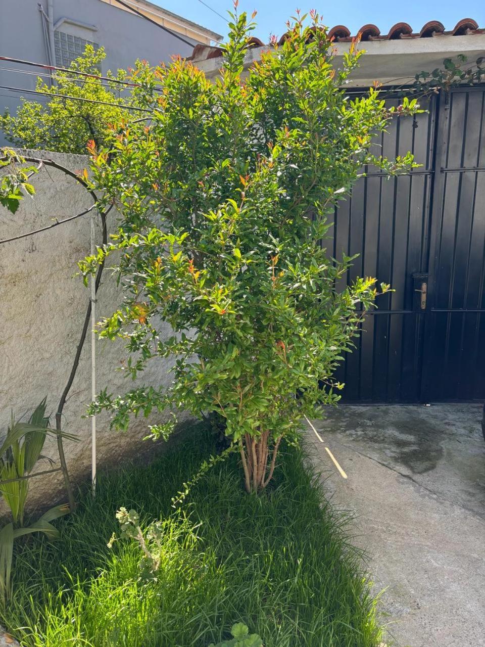 Apartamento Garden One Bedroom Tirana