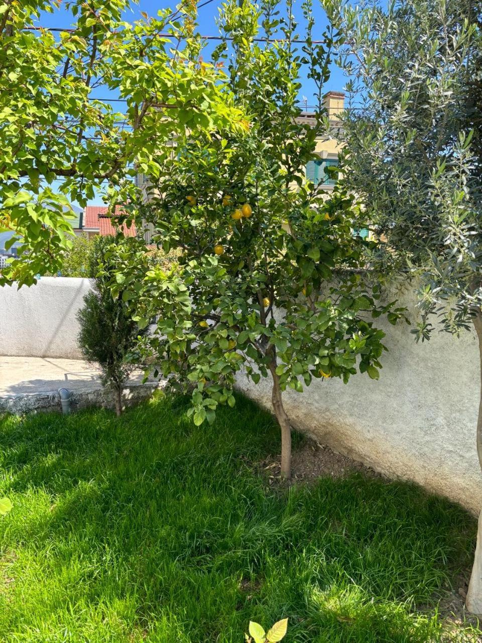 Apartamento Garden One Bedroom