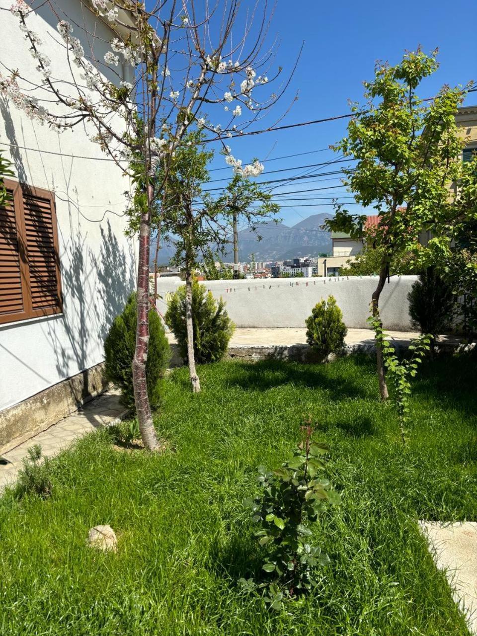 Garden One Bedroom Tirana